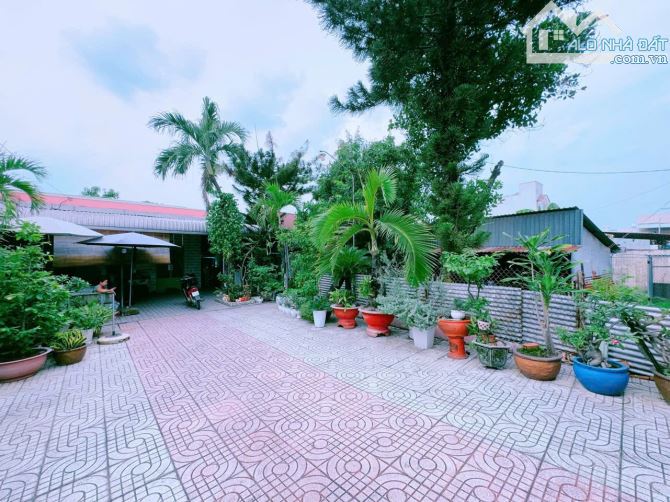 NP336 Bán lô biệt phủ nhà vườn gần 1000m2 trung tâm P.Hố Nai vị trí 2 Nguyễn Ái Quốc P.Hố