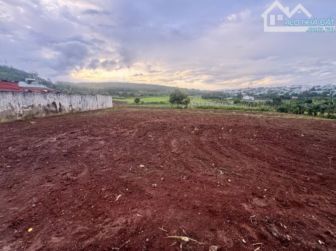 💥 Đất view ruộng hẻm chính 03 Nguyễn Thiếp