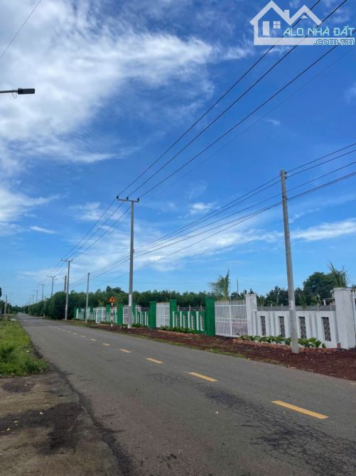 Bán đất 290m2,Chỉ 800 triệu SHR, tại đường Long Tân-Láng Dài, Đất Đỏ Bà Rịa