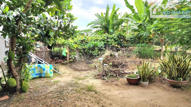 Bán lô Biệt thự Mini 178m2 đường Ô tô, xã An Phú (Nghĩa Dũng cũ), Quảng Ngãi