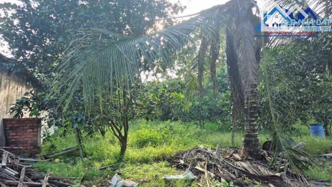 Bán đất 1,4ha tại Trảng Bom Đồng Nai chỉ 13 tỷ