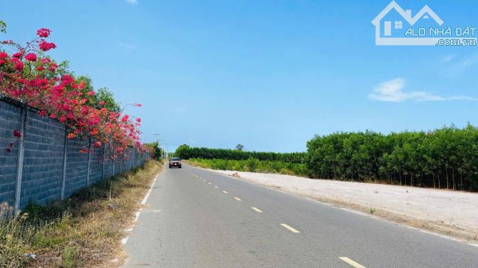 Bán lô đất phủ hồng mặt tiền nhựa tim vàng xã Láng Dài nay là xã Đất Đỏ, tp Hồ Chí Minh
