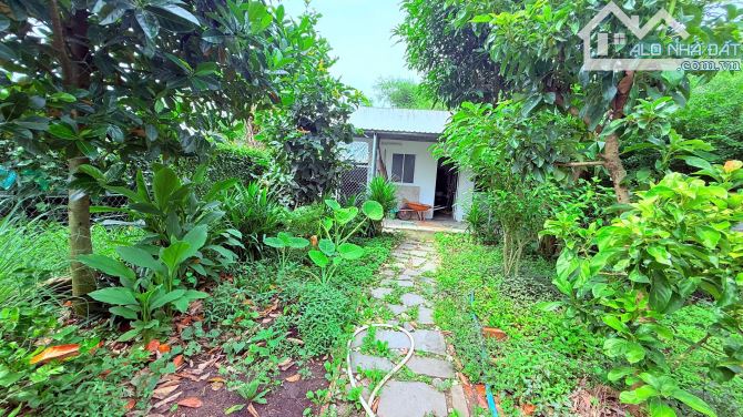 Nhà Vườn Đầy Đủ Tiện Ích Giá Tốt Diện tích: 488m2-100m thổ cư Mặt tiền đường nhựa 8m gần q - 1