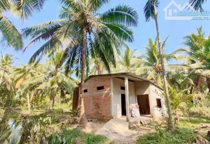 Bán 5700m2 đất vườn dừa xã tân hào - 1