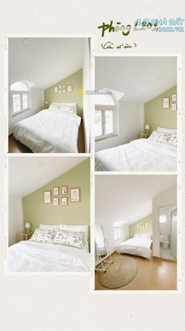Homestay trung tâm P1 Đà Lạt đường Phan Bội Châu 15 phòng kinh doanh 16 tỷ - 1