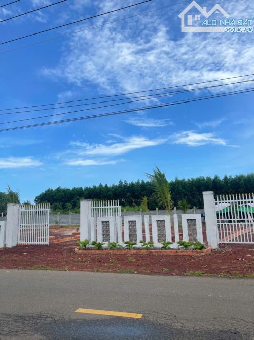 Bán đất 290m2,Chỉ 800 triệu SHR, tại đường Long Tân-Láng Dài, Đất Đỏ Bà Rịa - 1