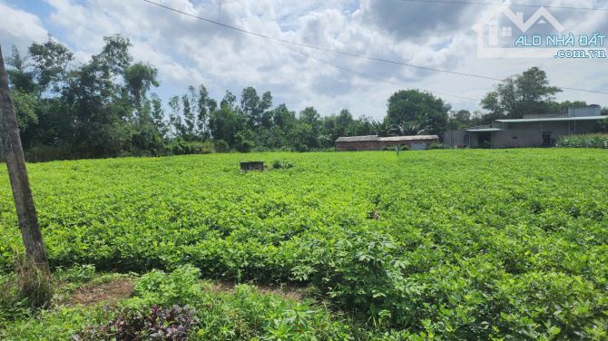 Bán lô đất mặt tiền đường bê tông sẵn thổ cư xã Nghĩa Thành, tp Hồ Chí Minh - 1