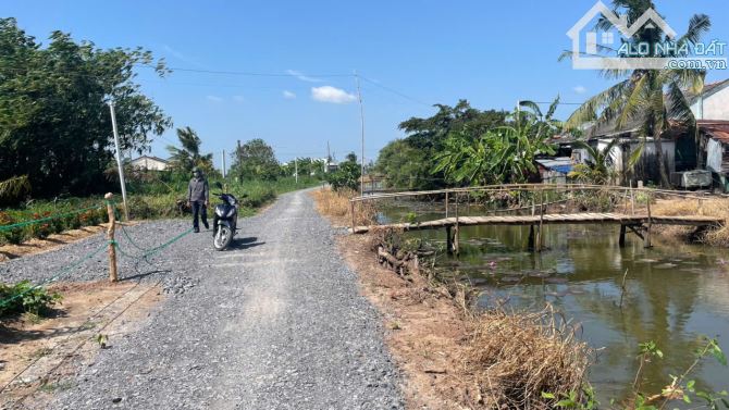 4254,4m2 đất cây b.á.n 1,6 tỷ hết đất, ôtô, gần Chợ Tân Thành, Gò Công Đông, Tiền Giang - 1