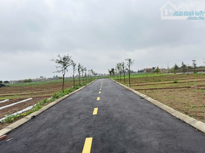 Chỉ 1.22 tỷ sở hữu mảnh đất 99m2 tại Quất Lâm gần Vsip Hải Long 1100ha sắp khởi công - 1