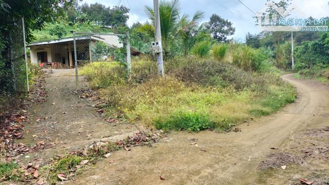 Cần bán 1,7ha sầu riêng thôn 9 Tân Lạc Bảo Lâm - 1