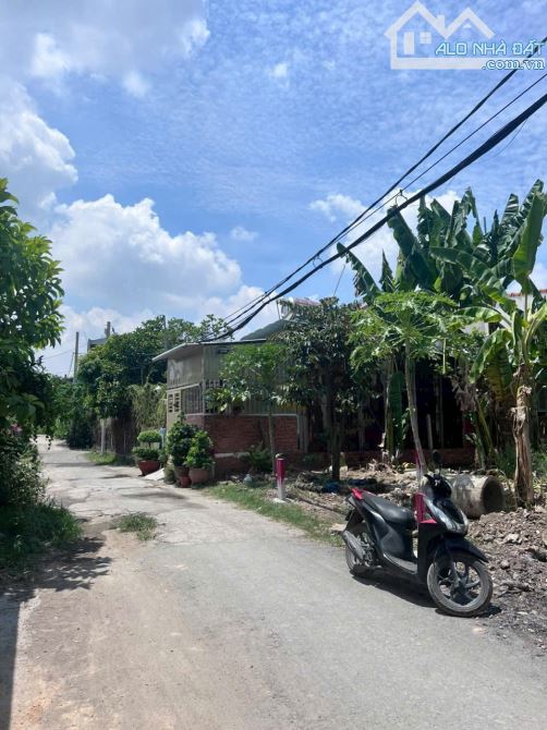Bán nền đất 252m2 hẻm 252 Đường Vườn Lài An Phú Đông giá đầu tư - 1