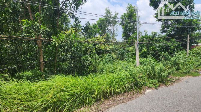 Bán lô đất phủ hồng mặt tiền nhựa tim vàng xã Láng Dài nay là xã Đất Đỏ, tp Hồ Chí Minh - 1