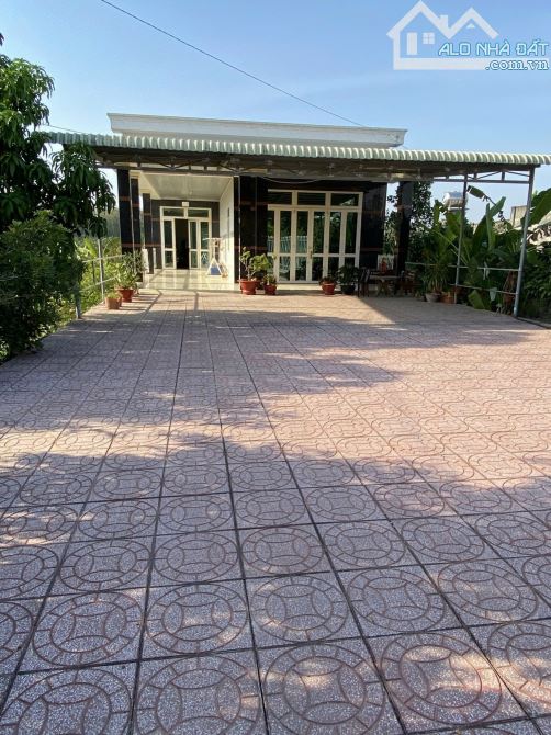 Cần bán 4100m2 đất hẻm 95 Nguyễn Văn Linh, Tây Ninh - 1