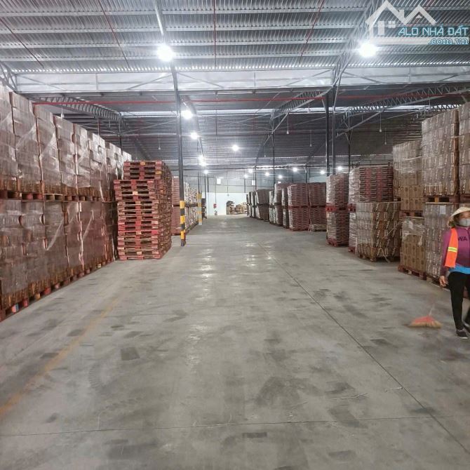 Cho thuê kho xưởng bãi 10.500m² - 1