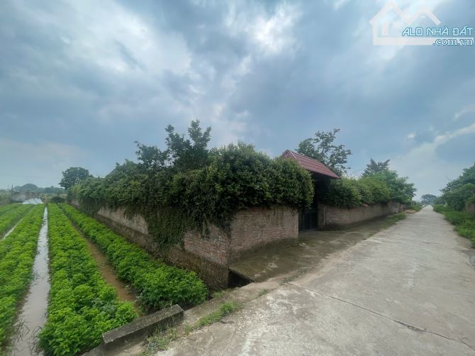 Nhà vườn Song Phương 1200m2 Thiết Kế Đẳng Cấp, Không Gian Nghỉ Dưỡng Lý Tưởng Chỉ 10 tỷ - 13