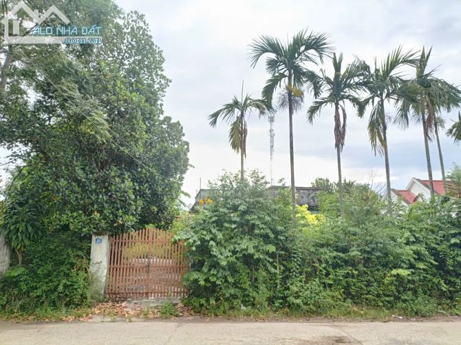 CHÍNH CHỦ BÁN LÔ ĐẤT ĐẸP 1.400M², CÓ NHÀ CẤP 4 – THÔN LA THỌ 3, TX ĐIỆN BÀN, TP ĐÀ NẴNG - 2