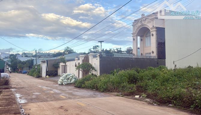 💥 Đất view ruộng hẻm chính 03 Nguyễn Thiếp - 2
