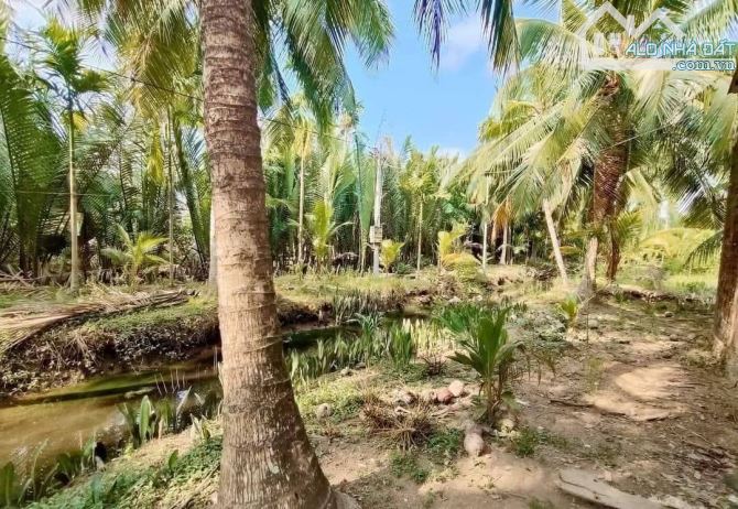 Bán 5700m2 đất vườn dừa xã tân hào - 2