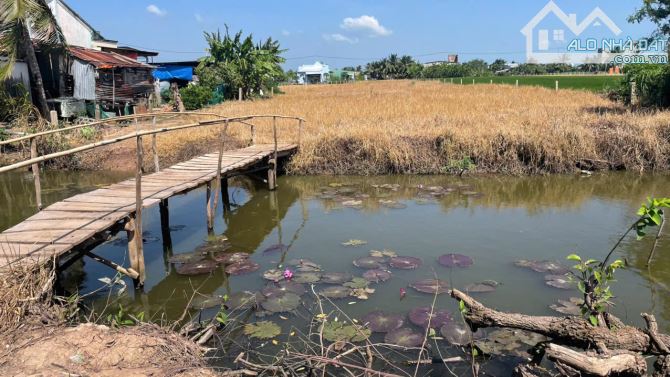 4254,4m2 đất cây b.á.n 1,6 tỷ hết đất, ôtô, gần Chợ Tân Thành, Gò Công Đông, Tiền Giang - 2