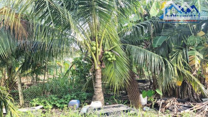 Bán đất 1,4ha tại Trảng Bom Đồng Nai chỉ 13 tỷ - 2
