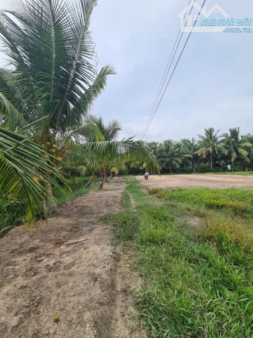 🌾 Cần bán 3200 m2 đất nhánh 30/4 ( sau lưng ĐỀN THỜ BÁC )  👍 Vị trí : thuộc Phường Long - 2