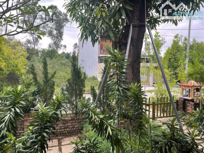 NHÀ VƯỜN 3 MẶT TIỀN KQH CẦU LIM, ĐƯỜNG NGUYỄN THÀNH Ý - 6,1 TỶ - 2