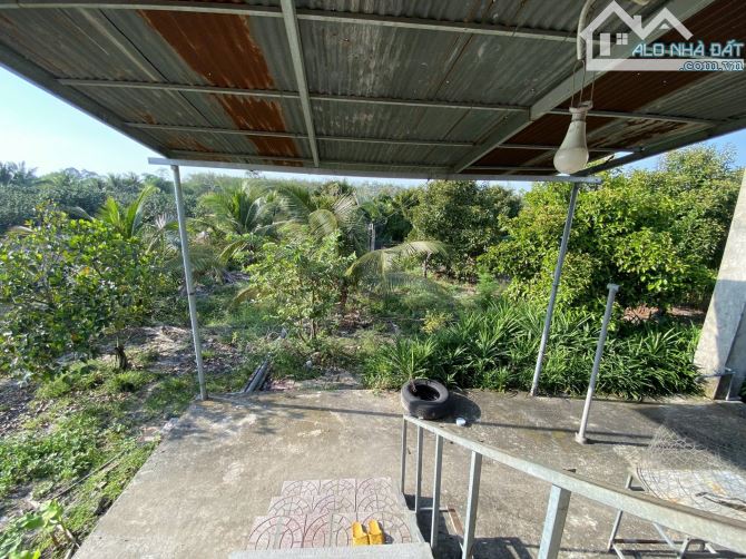 Cần bán 4100m2 đất hẻm 95 Nguyễn Văn Linh, Tây Ninh - 2