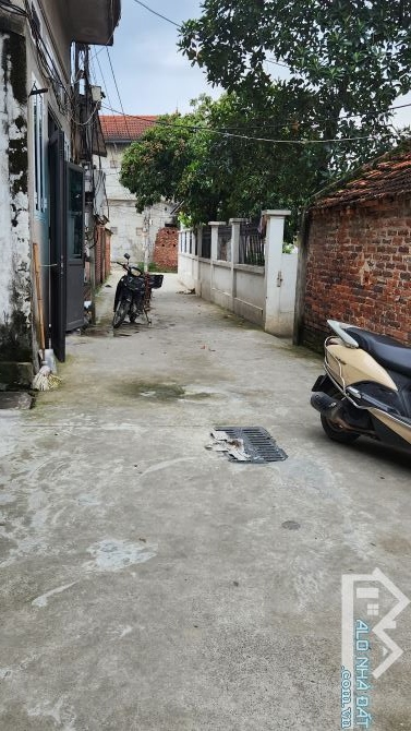 Bán đất Đại Mạch ô tô VF3 đỗ cửa, 50m ra công viên. Nhỉnh 3 tỷ - 2
