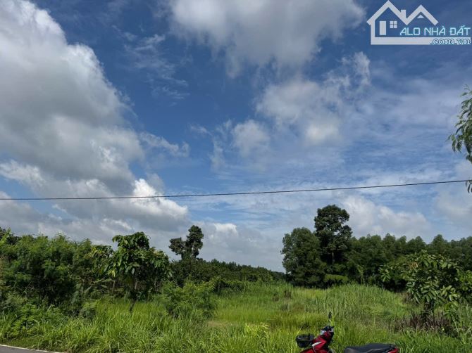 Bán đất vườn mặt tiền Hương Lộ 7, phường Tân Triều,Vĩnh Cửu. DT 3200m. ngang 38m. Giá 13,5 - 3