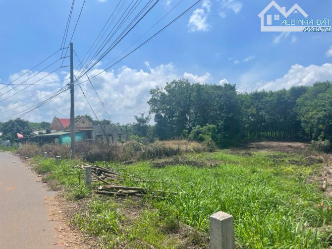 BÁN LÔ ĐẤT ĐẸP – TRUNG TÂM HÀNH CHÍNH XÃ XUÂN THÀNH, ĐỒNG NAI - 3