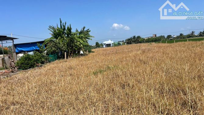 4254,4m2 đất cây b.á.n 1,6 tỷ hết đất, ôtô, gần Chợ Tân Thành, Gò Công Đông, Tiền Giang - 3