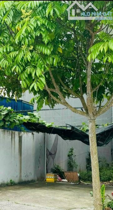 XE TĂNG ĐỖ CỬA THỬA TO DÀI MT 5M 106M2 (Ngang 4.95m dài như vô cùng tận) ĐẶC BIỆT : KHÔNG - 3