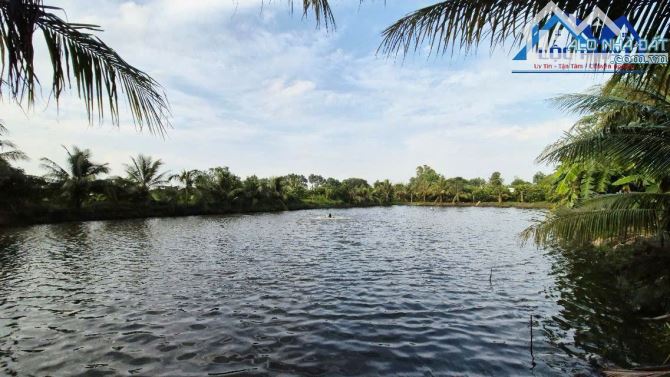 Bán đất 1,4ha tại Trảng Bom Đồng Nai chỉ 13 tỷ - 3