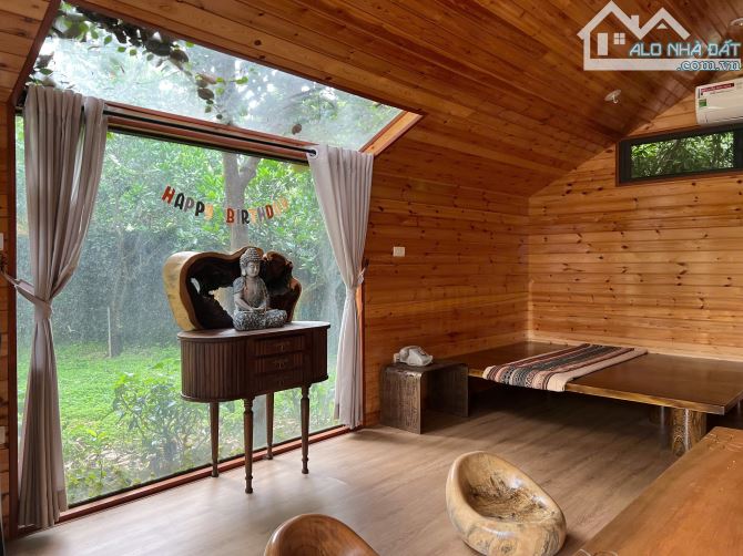 Nhà vườn Song Phương 1200m2 Thiết Kế Đẳng Cấp, Không Gian Nghỉ Dưỡng Lý Tưởng Chỉ 10 tỷ - 3
