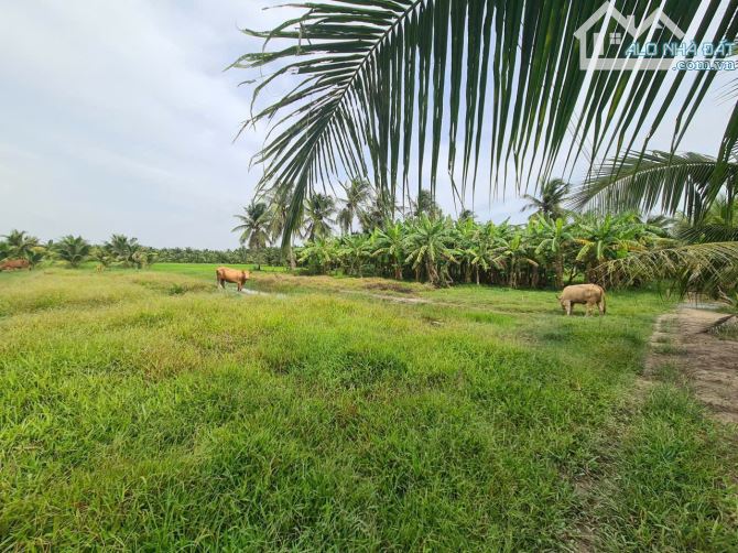 🌾 Cần bán 3200 m2 đất nhánh 30/4 ( sau lưng ĐỀN THỜ BÁC )  👍 Vị trí : thuộc Phường Long - 3