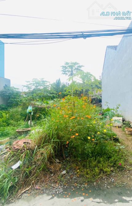 Bán Đất P. Tân Phong, Đối Diện Công Viên Khu Dân Cư Tân Phong, gần Trường THCS Tân Phong - 3