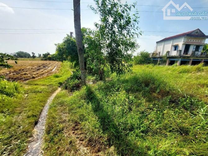 Chủ ngộp cần bán lô 2MT, 2700m2, 1300TC, đường nhựa lớn, giá 10 tỷ thương lượng. - 4