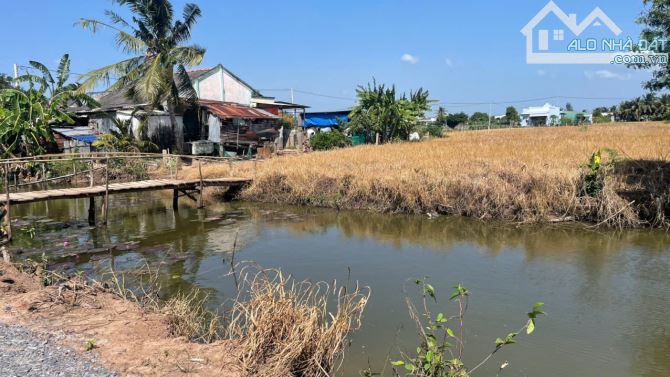 4254,4m2 đất cây b.á.n 1,6 tỷ hết đất, ôtô, gần Chợ Tân Thành, Gò Công Đông, Tiền Giang - 4