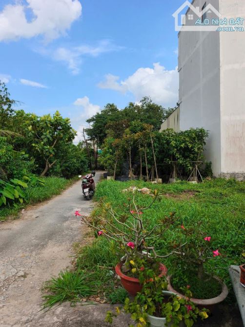 BÁN ĐẤT THẠNH XUÂN 43 QUẬN 12 GIÁ RẺ 3.9 TỶ TL - 4