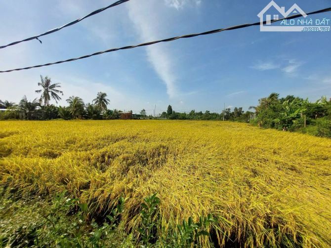 Chủ ngộp cần bán lô 2MT, 2700m2, 1300TC, đường nhựa lớn, giá 10 tỷ thương lượng. - 5