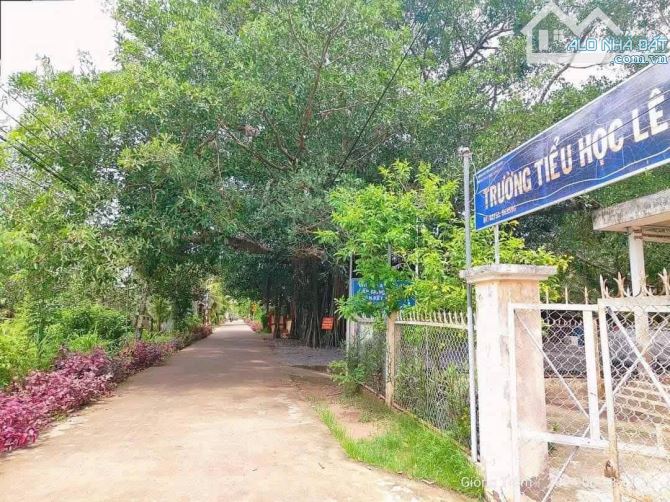 Bán 5700m2 đất vườn dừa xã tân hào - 5