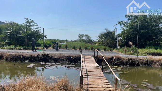 4254,4m2 đất cây b.á.n 1,6 tỷ hết đất, ôtô, gần Chợ Tân Thành, Gò Công Đông, Tiền Giang - 5