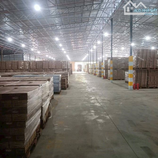 Cho thuê kho xưởng bãi 10.500m² - 5