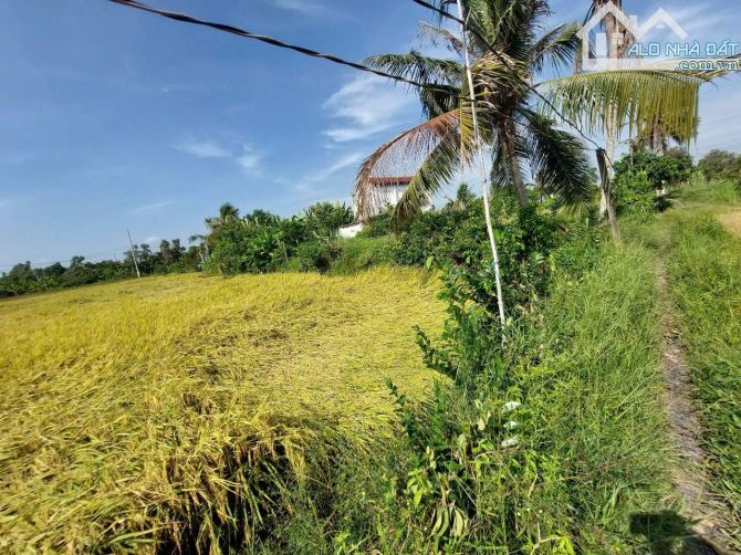 Chủ ngộp cần bán lô 2MT, 2700m2, 1300TC, đường nhựa lớn, giá 10 tỷ thương lượng. - 6