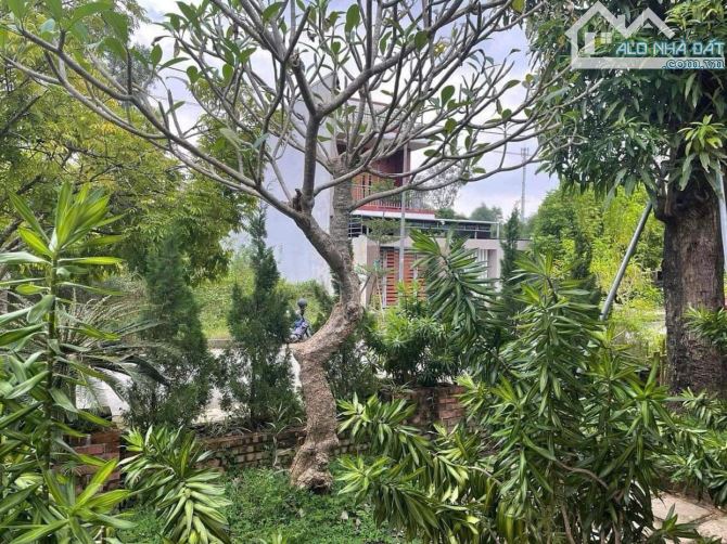 NHÀ VƯỜN 3 MẶT TIỀN KQH CẦU LIM, ĐƯỜNG NGUYỄN THÀNH Ý - 6,1 TỶ - 6