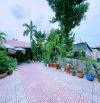 NP336 Bán lô biệt phủ nhà vườn gần 1000m2 trung tâm P.Hố Nai vị trí 2 Nguyễn Ái Quốc P.Hố