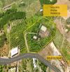 Bán đất vườn Diên Thọ đã lên mô hình farm sinh thái đang khai thác - gần Quốc Lộ 27C