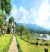 bán gấp khu camping tiến xuân thạch thất, 28000m2, mt 30m, villa + hồ + bể bơi, 196 tỉ