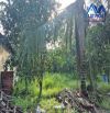 Bán đất 1,4ha tại Trảng Bom Đồng Nai chỉ 13 tỷ