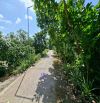 🔰Bán nền: 143m² (5m x 30m, thổ 100%) 🔰Đường Phạm Văn Thưởng, xã Mỹ Trà cũ, Đồng Tháp.